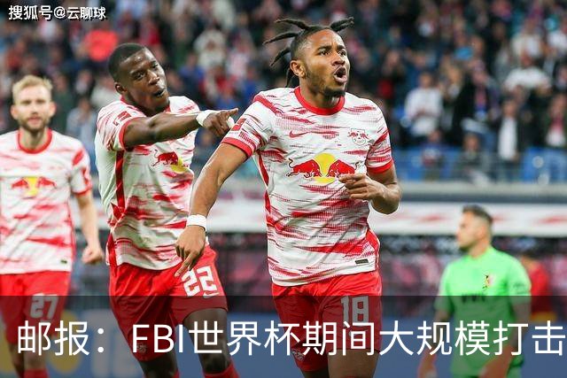 邮报：FBI世界杯期间大规模打击无人机活动，一名非法移民被捕